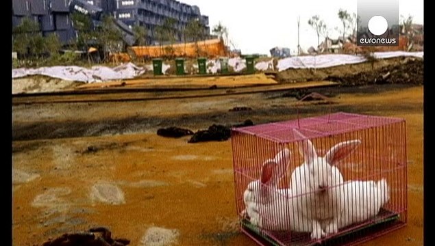 Тяньцзинь: на месте взрыва отмечены четыре новых очага возгорания