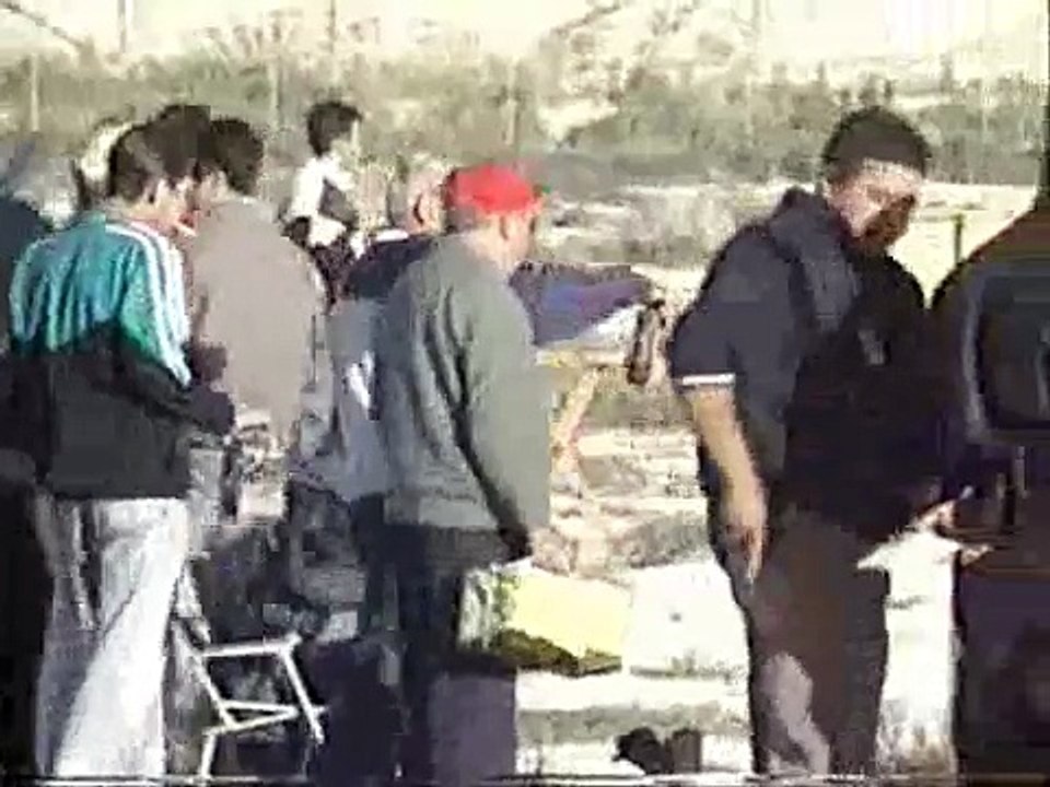 silvestrismo  jilgueros