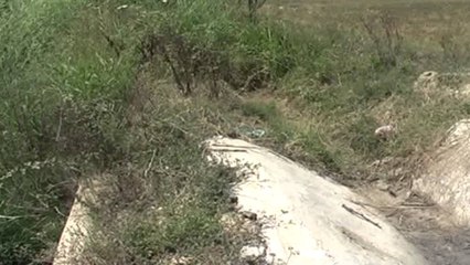 Vaditja në Lushnjë, fermerët nuk paguajnë, shoqata u pret ujin