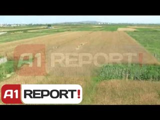 Fier, bien të mbjellat e grurit, shkak  kushtet jo të favorshme atmosferike