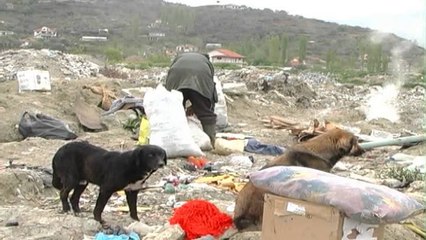 Djegia e mbeturinave urbane, ekologjikët: Po përhapen mbetje kancerogjene