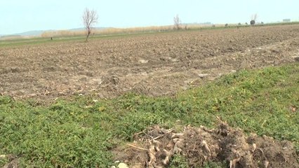 Fermerët dhe skemat e pensionit, pagesa e kontributeve shmang kamat vonesat