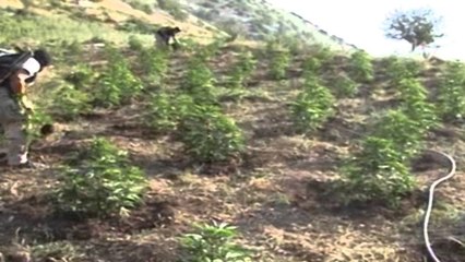 Aksion në hyrje të Lazaratit, policia bllokon botet me ujë dhe punëtorët