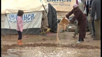 Sirianët në krizë nisen drejt irakut. 6 mijë kurdë kanë kaluar ditët e fundit