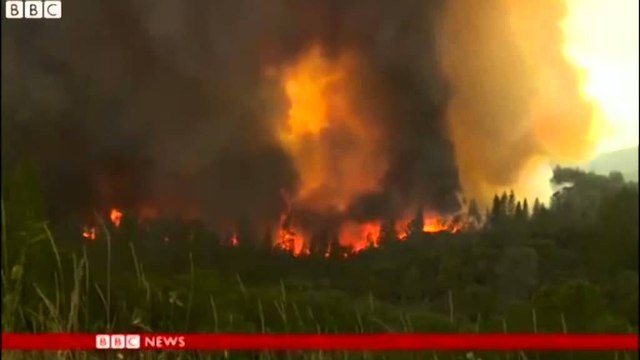 Zjarre masive në Kaliforni, gjëndje e jashtëzakonshme, zjarrfikëset dorëzohen