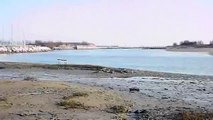 Eraclea Mare: panorama della Laguna del Morto d'inverno.