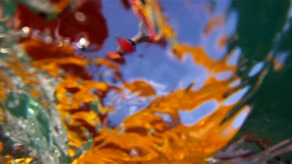 Ondas, mares, Ubatuba, SP, Brazil, Show dos reciclados