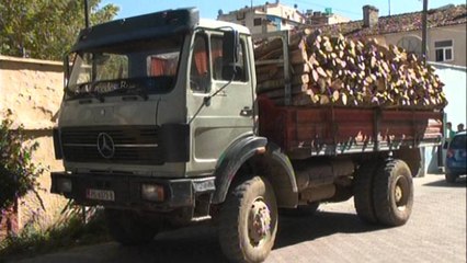 Prerja masive e pyjeve në Korçë, bllokohen 8 mjete të tonazhit të rëndë