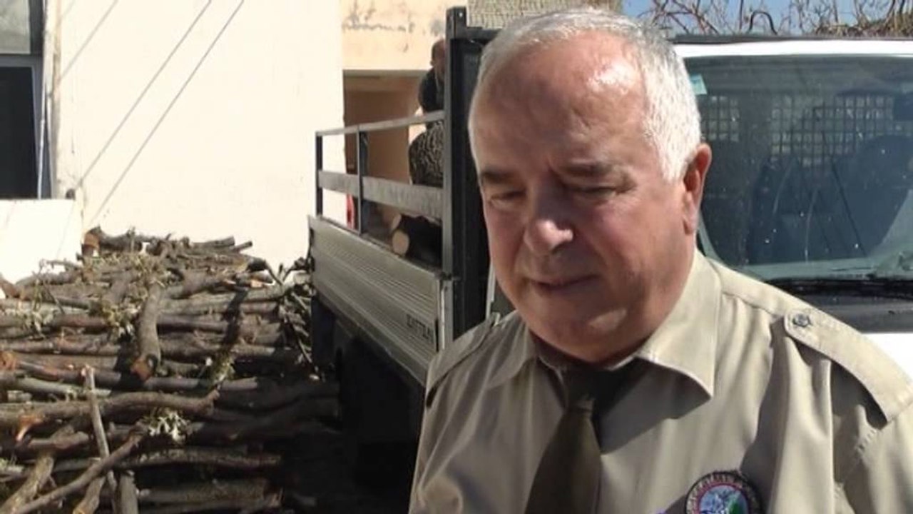 Masakra në pyje, policia aksion