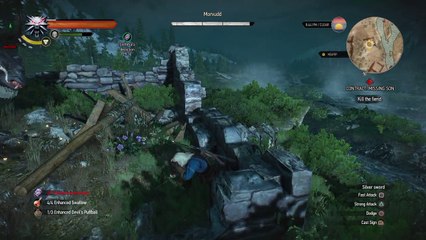 The Witcher 3: Wild Hunt