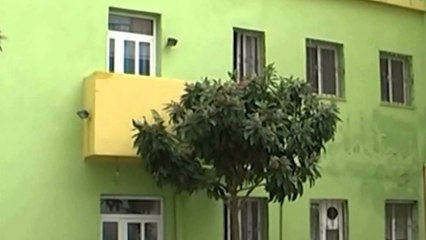 Shtëpia e foshnjës  shënon rritje të fëmijëve të braktisur