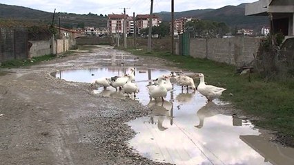 Rrënimi gradual i Beratit, infrastruktura rrugore e shkatërruar në çdo cep