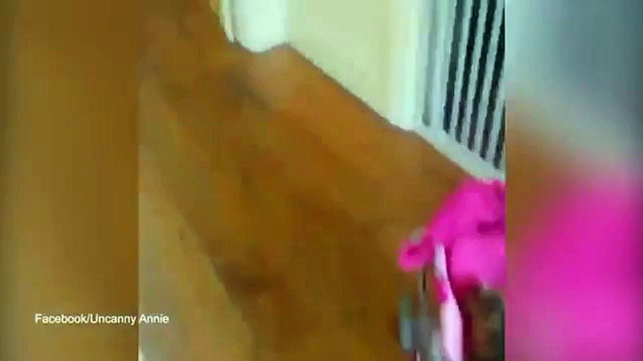 Babies having babies! Twins push around baby animals