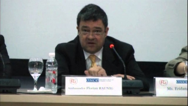 Raporti i OSBE: 2013 vit i vështirë ekonomiko-politik, reformat ngecën, klima armiqësore