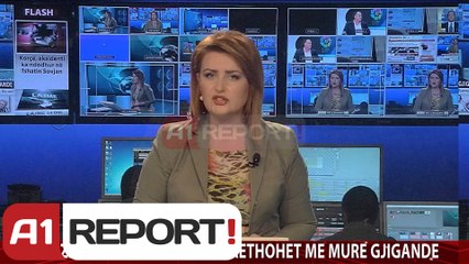 A1 Report - Edicioni i Lajmeve 10 Nentor 2013