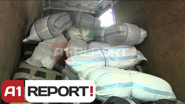 A1 Report - Tiranë, Vlorë, Gjirokastër, sekuestrohen më shumë se 1 ton kanabis sativa