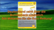 RISIKO: PIIGS drucken GELD - Deutschland haftet! (3) Prof. Sinn Eurokrise 2012 EURO Rettung EZB