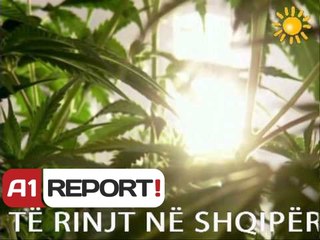 A1 Report   Rreze Dielli dt 22 Nentor  2013 Droga