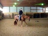 Chute My Assets 2003 Sorrel AQHA Mare For Sale Super All-Around That will Win
