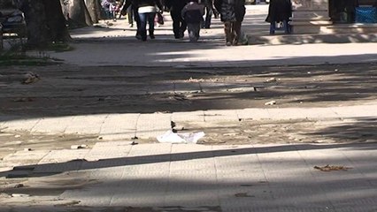 Infrastruktura në Berat, rruga kryesore dhe e vetme, e shkatërruar