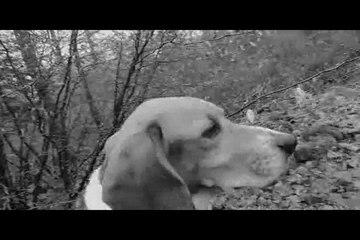 Le Rakuen promenades 2015-01 Coquin