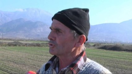 Problemet në bujqësi, fermerët: Janë shkatërruar kanalet vaditës