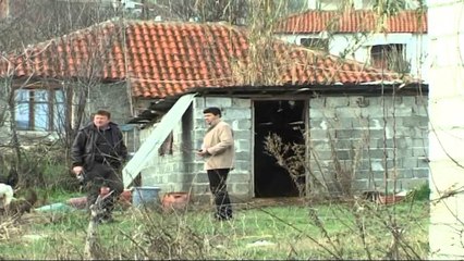 Lushnje, 40-vjeçarja vret me thikë në zemër bashkëfshatarin, e ngacmonte