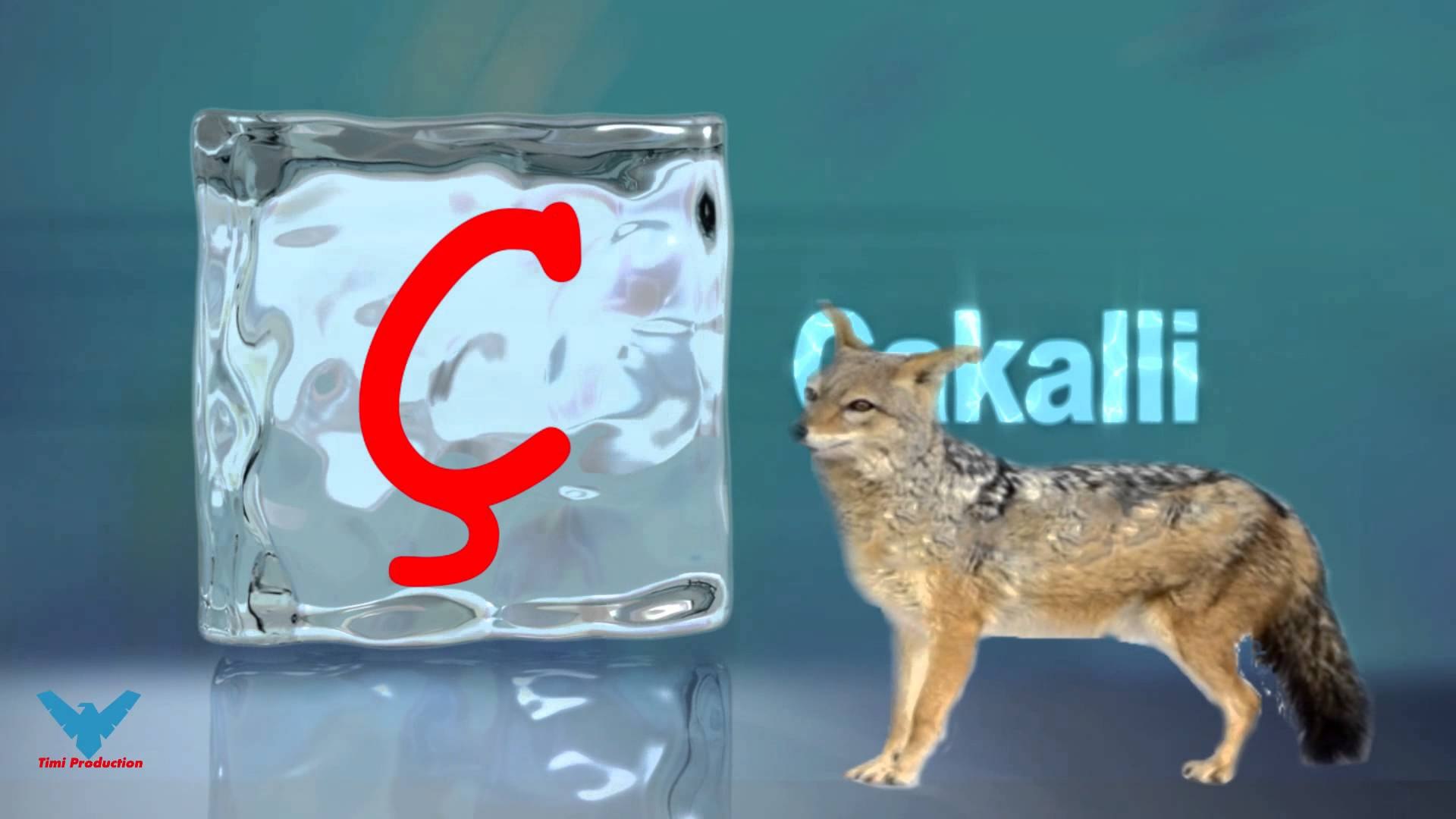 Ç Alfabeti Shqip shkronja Ç