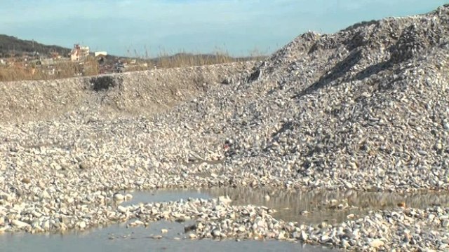 Fier, bypassi Levan-Vlorë, segmenti që po shkatërrohet nga ditë në ditë