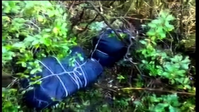 Vlorë, kapen 2 ton drogë. Arrestohen 6 persona, vazhdojne operacionet