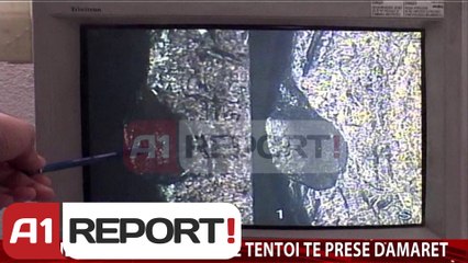 A1 Report - Edicioni i Lajmeve, 16 Shkurt 2014 - Albania News