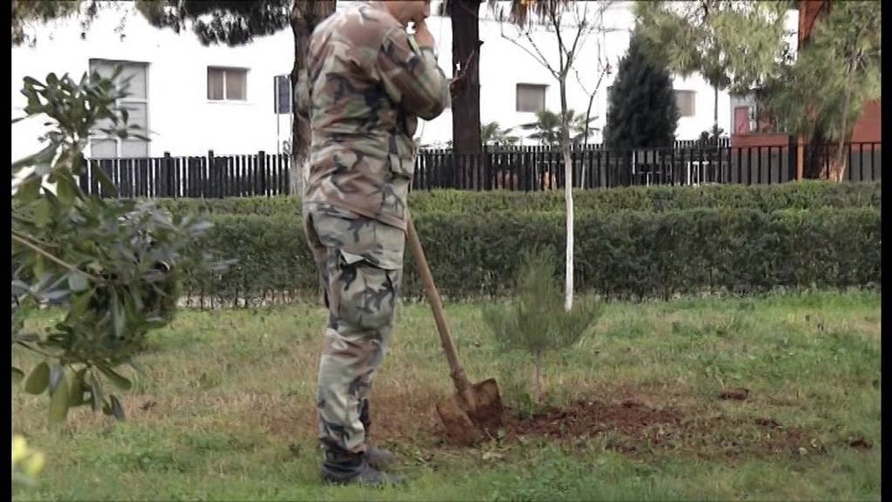 "Mbill pemën tënde", Ministrat Beqaj dhe Kodheli i bashkohen nismës