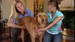 Veterinary Acupuncture Episode featuring Dr. Jenna Castner Hauck, 