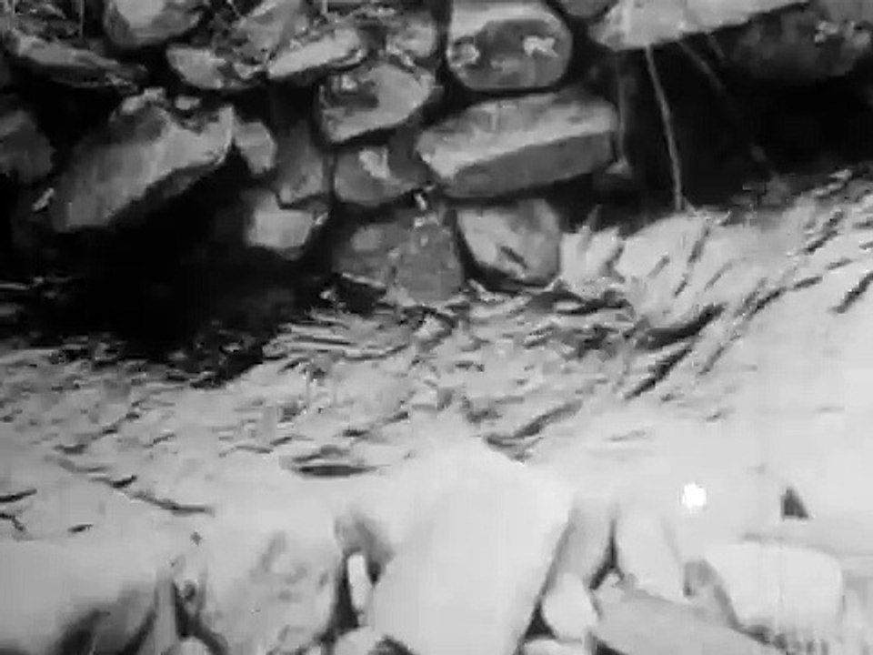 H2O. (1929). Ralph Steiner