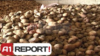 A1 Report - Korçe, nuk ka tregje, fermeret ua japin prodhimet bagetive