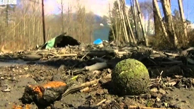 Rritet bilanci i viktimave në SHBA, 14 të vdekur nga rrëshqitja e dheut, mbi 100 të zhdukur