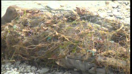 Bllok lajmesh nga kronika (4.04.2014)