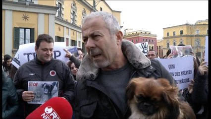 Shoqata e kafshëve proteston para Bashkisë: Mos vrisni qenët endacakë, i adoptojmë