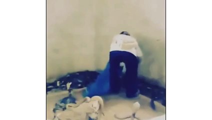 [VINES JANUARY] The snake was being a bad boy lol - Vine By  Kingafah