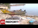 A1 Report - Shkoder, hyn ne fuqi moratoriumi për gjuetine e peshkut ne liqen