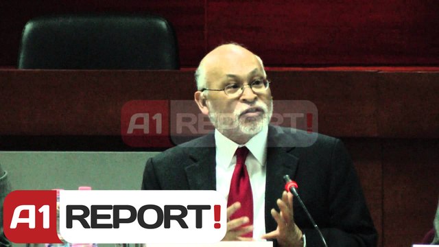 A1 Report - Tryezë për birësimet, Isaraj:Të thjeshtohen procedurat gjyqësore