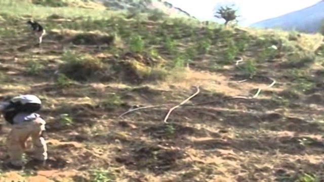 Ambasada e SHBA paralajmëron qytetarët. Mos udhëtoni drejt fshatit të Lazaratit