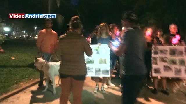 Fiaccolata per ricordare Lupo, il cane ucciso ad Andria: si presentano in decine