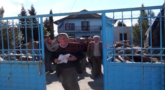 Malësi e Madhe, punonjësit e Shërbimit Pyjor në protestë