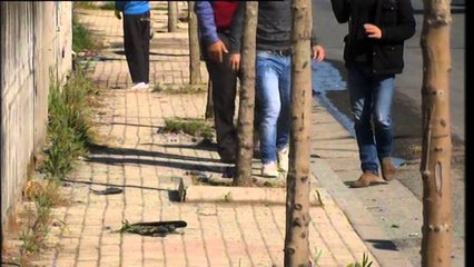 Aksident tragjik në Kamëz. 4 të rinjë humbin jetën, shkak shpejtësia e lartë