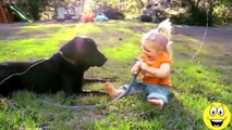 Funny Videos Compilation Babies Laughing Hysterically at Dogs