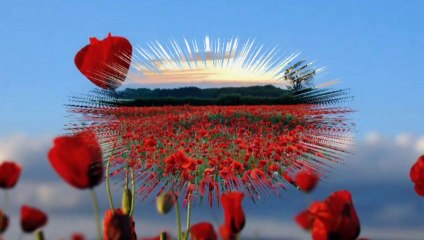 ELİF REYYA NAZ-YASİN AYHAN-ŞEMSETTİN DERVİŞOĞLU     GELİNCİK