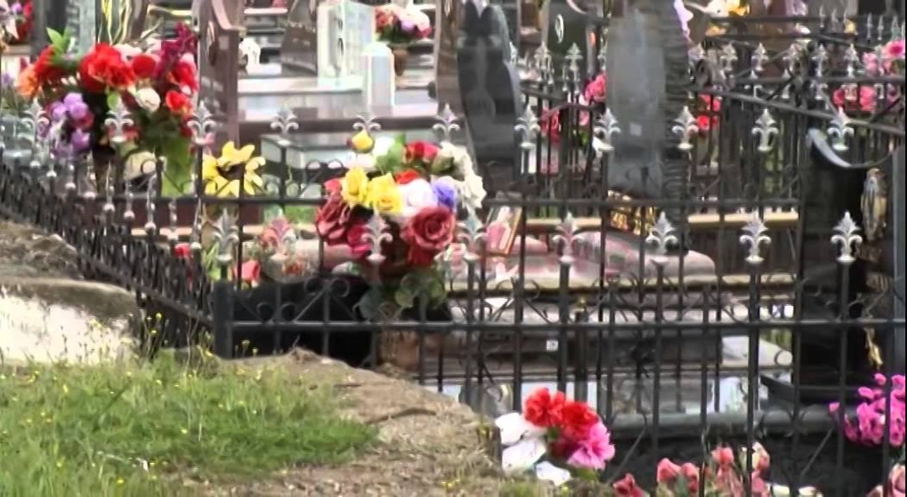 Tirana pa varre, Basha: Politika e verbër s'po kursen të gjallë, as të vdekur