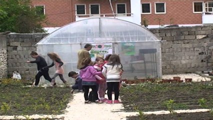 Shkollat e Beratit me fidanishte ekologjike. Synohet shtimi i hapësirave të gjelbërta