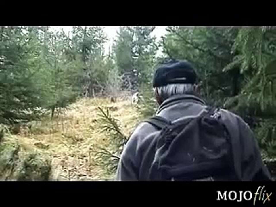 chasse a l'orignal